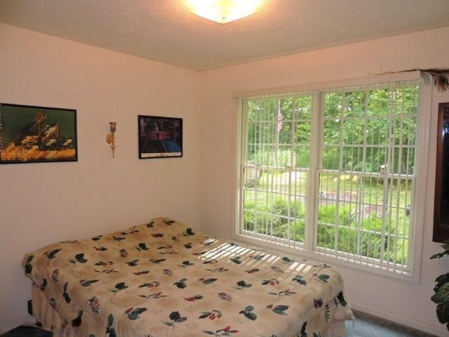 65685 Elbow Lake Road Jones, MI 49061 - Photo 12 of 23 Additional Photo