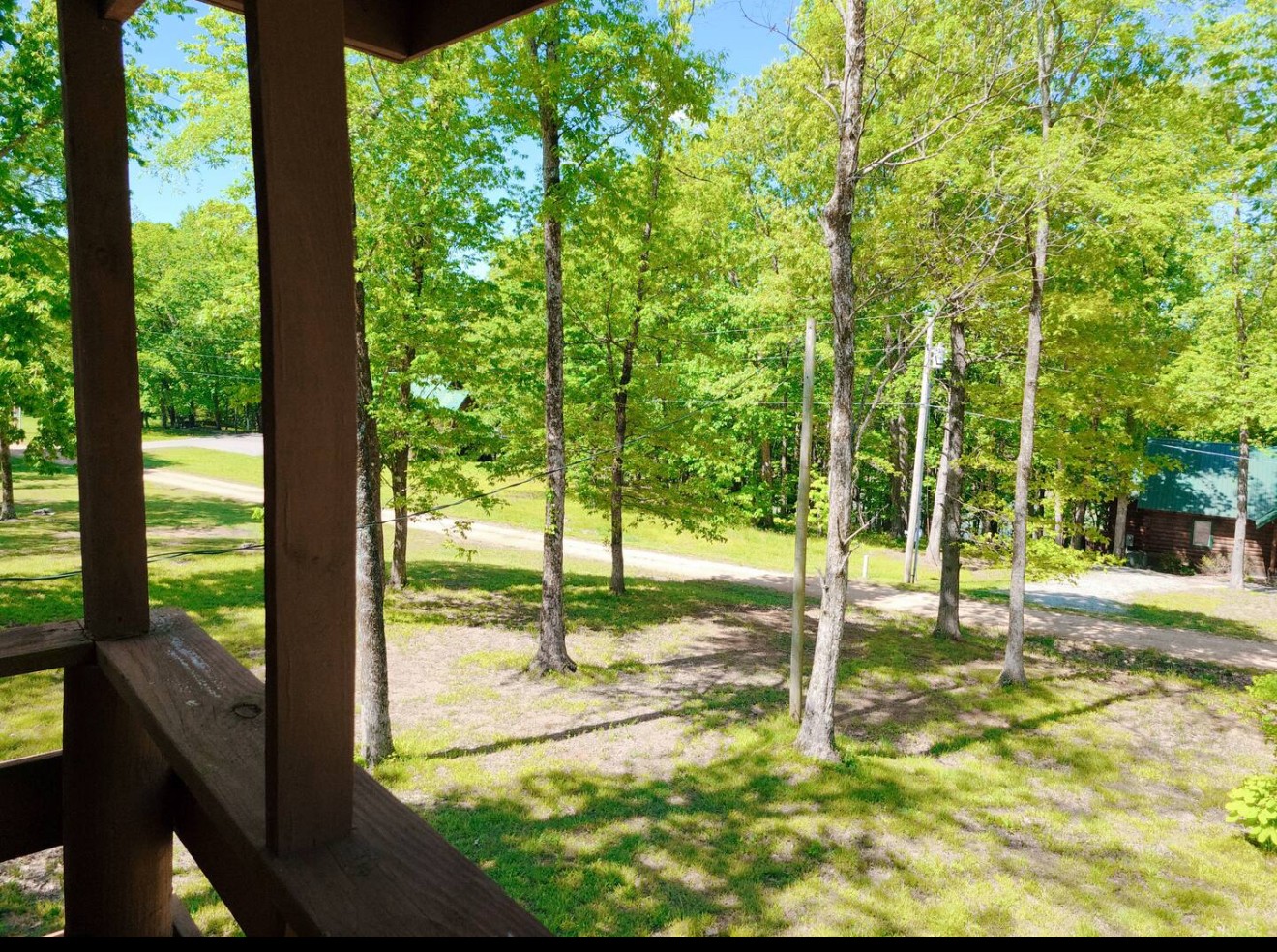 80 Tater Bug Lane Clifton, TN 38425 - Photo 19 of 25 a view of a park with large trees