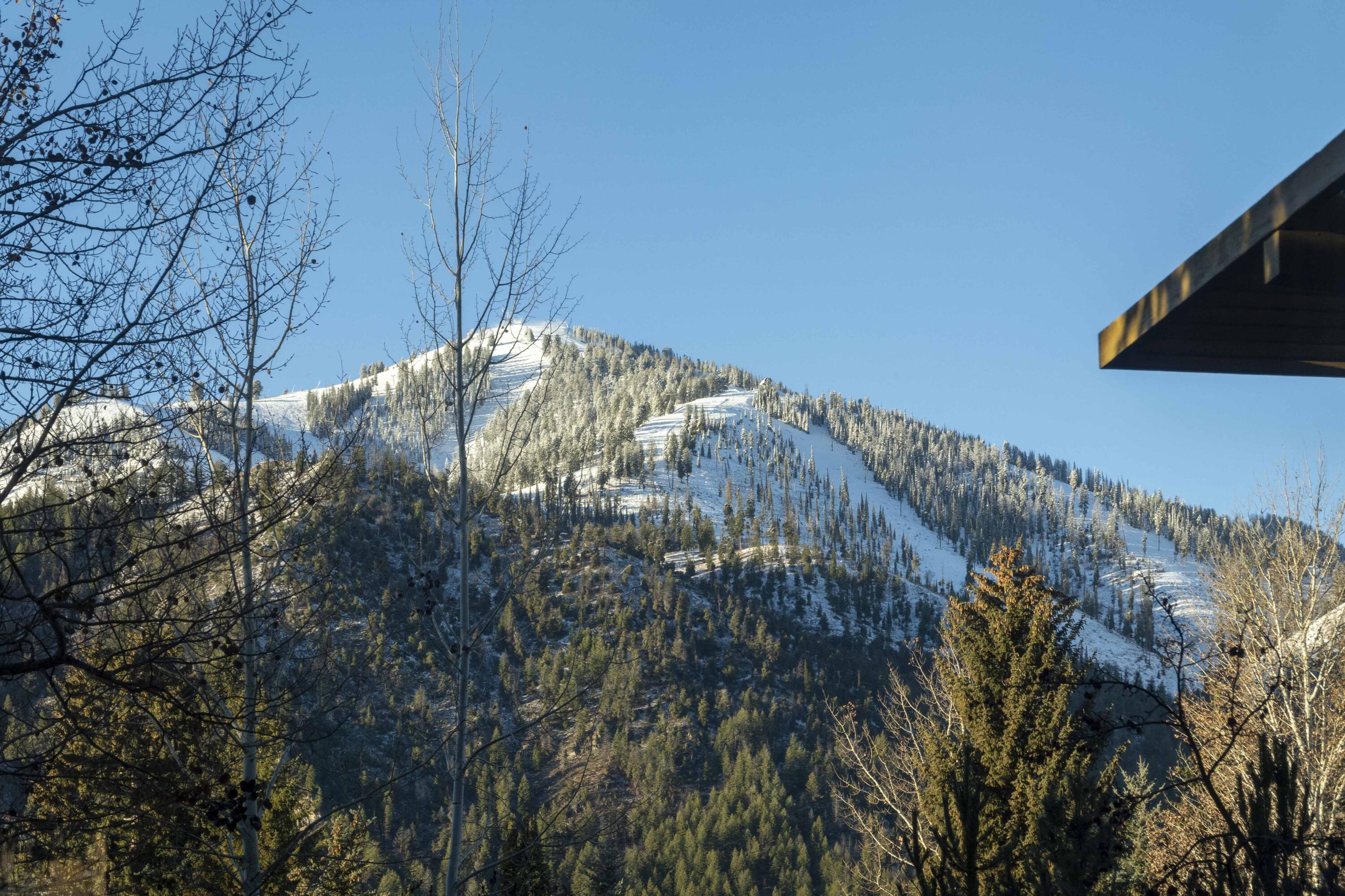 691 Walnut Avenue Ketchum, ID 83340 - Photo 24 of 25 Baldy Views