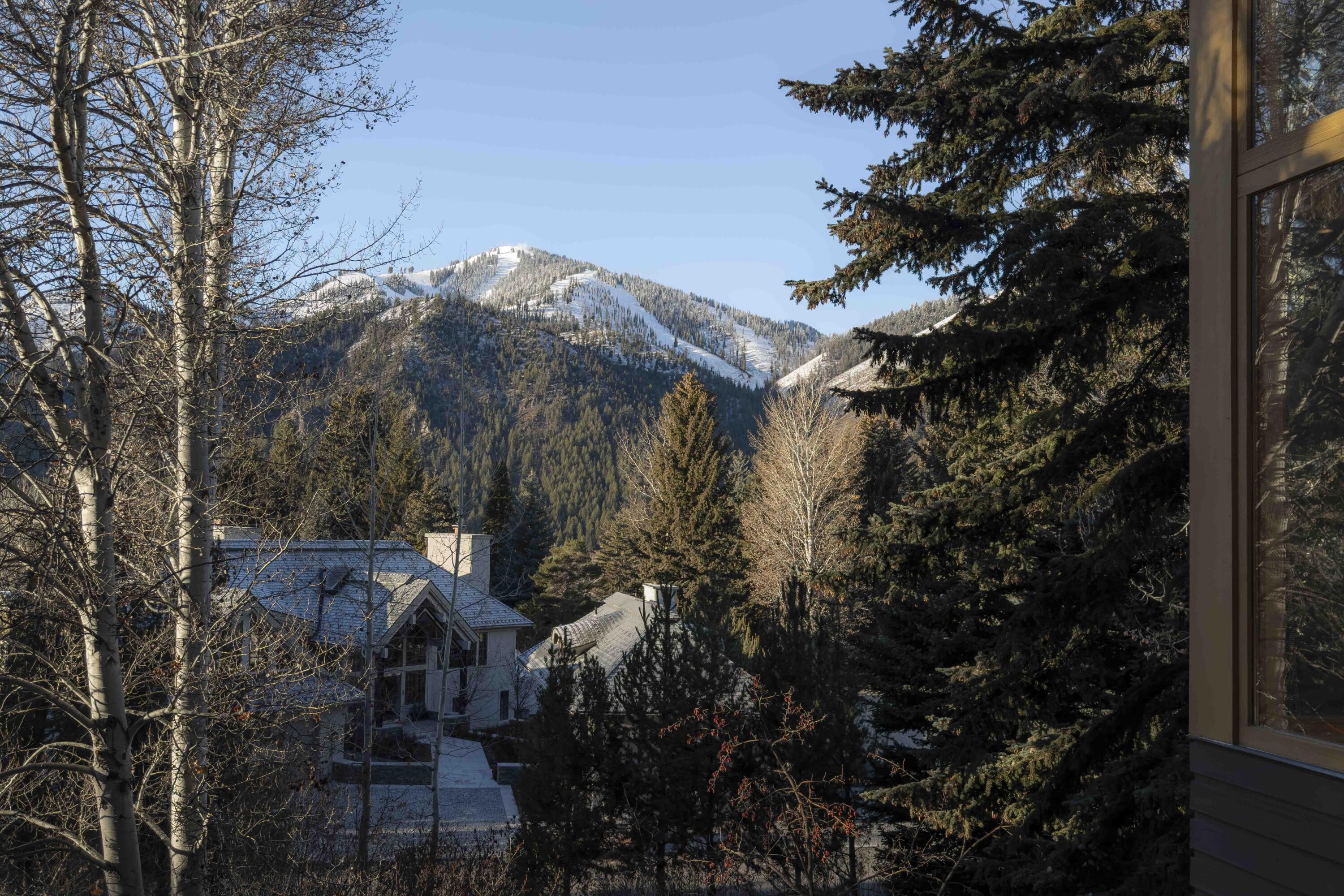 691 Walnut Avenue Ketchum, ID 83340 - Photo 3 of 25 Views of Baldy