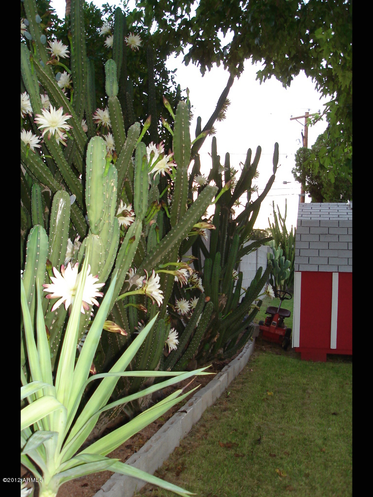 4241 East Piccadilly Road Phoenix, AZ 85018 - Photo 24 of 31 4241 e piccadillyrd 031