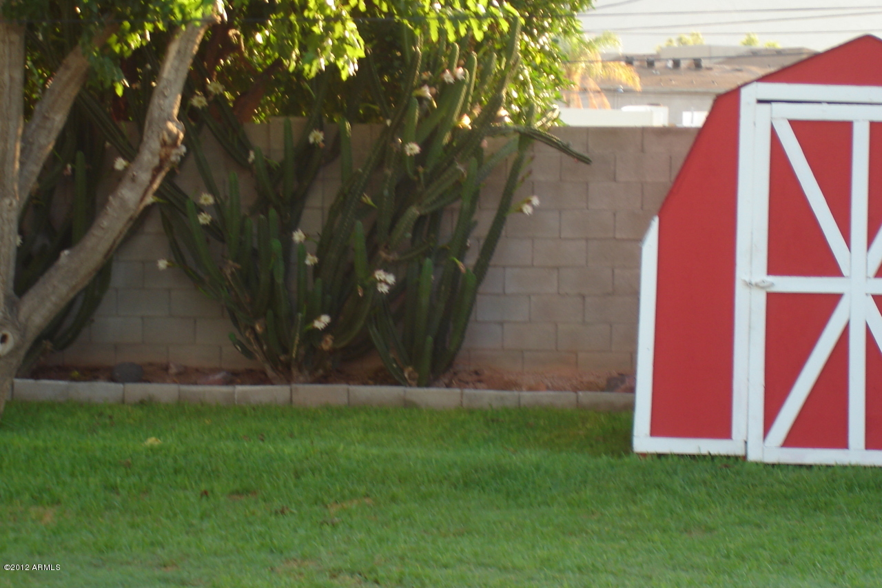4241 East Piccadilly Road Phoenix, AZ 85018 - Photo 26 of 31 4241 e piccadillyrd 009