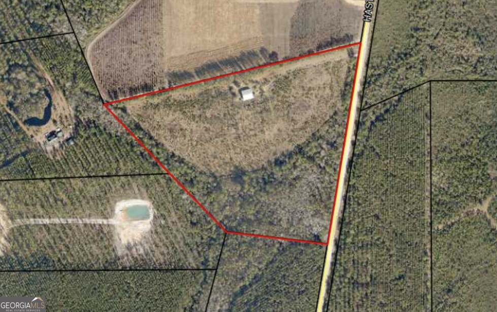 1075 Hasty Road Millwood, GA 31552 - Photo 19 of 19
