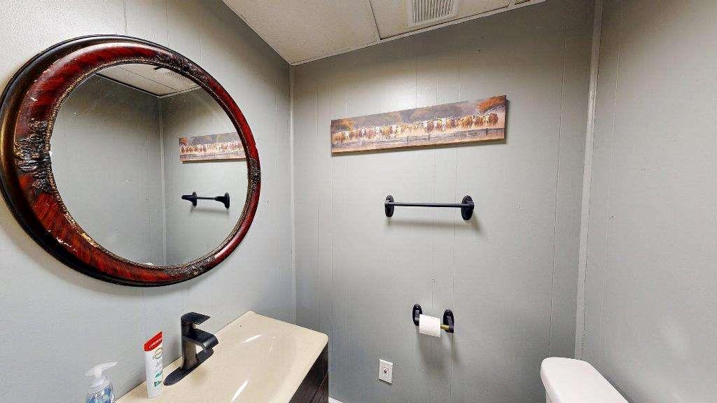 15 Aragon Road Aragon, GA 30104 - Photo 15 of 33 a bathroom with a toilet and a mirror