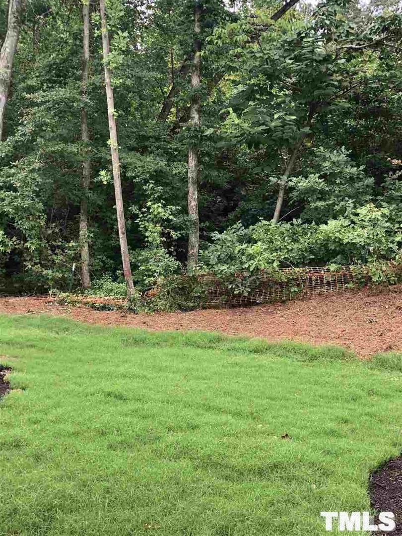 2555 Rambling Creek Road Apex, NC 27523 - Photo 17 of 23 a view of a garden with a tree