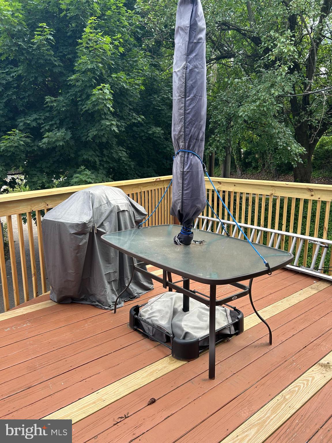 2 Winthrop Road Darby, PA 19023 - Photo 4 of 11 Deck