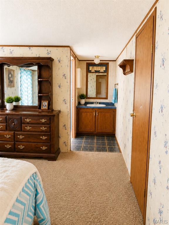 3819 Primo Road Festus, MO 63028 - Photo 7 of 11 Gallery Image 7