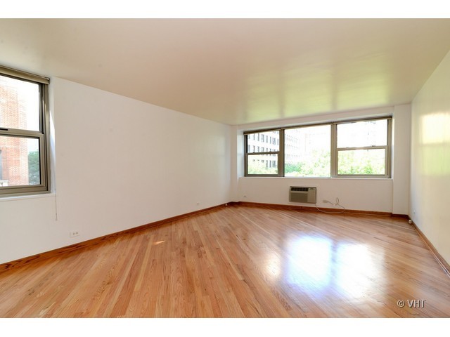 253 East Delaware Place, Unit 4G Chicago, IL 60611 - Photo 2 of 9