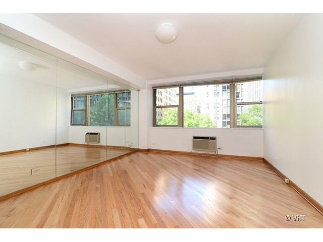 253 East Delaware Place, Unit 4G Chicago, IL 60611 - Photo 5 of 9