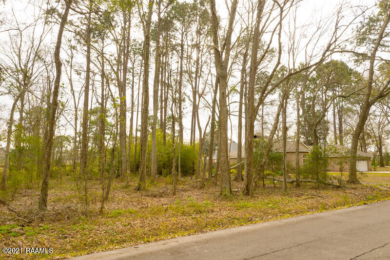 Tbd Chalfonte Crescent Road New Iberia, LA 70563 - Photo 5 of 5