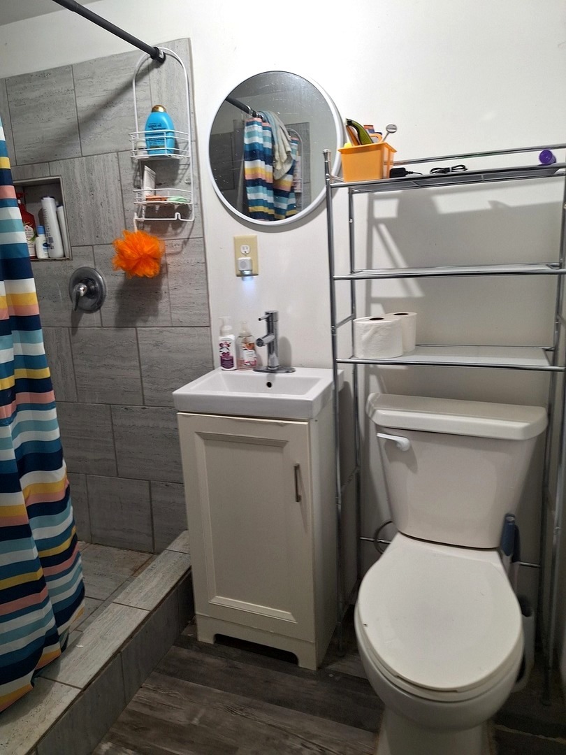 1505 North Otter Creek Road Streator, IL 61364 - Photo 23 of 40 a bathroom with a toilet and a sink