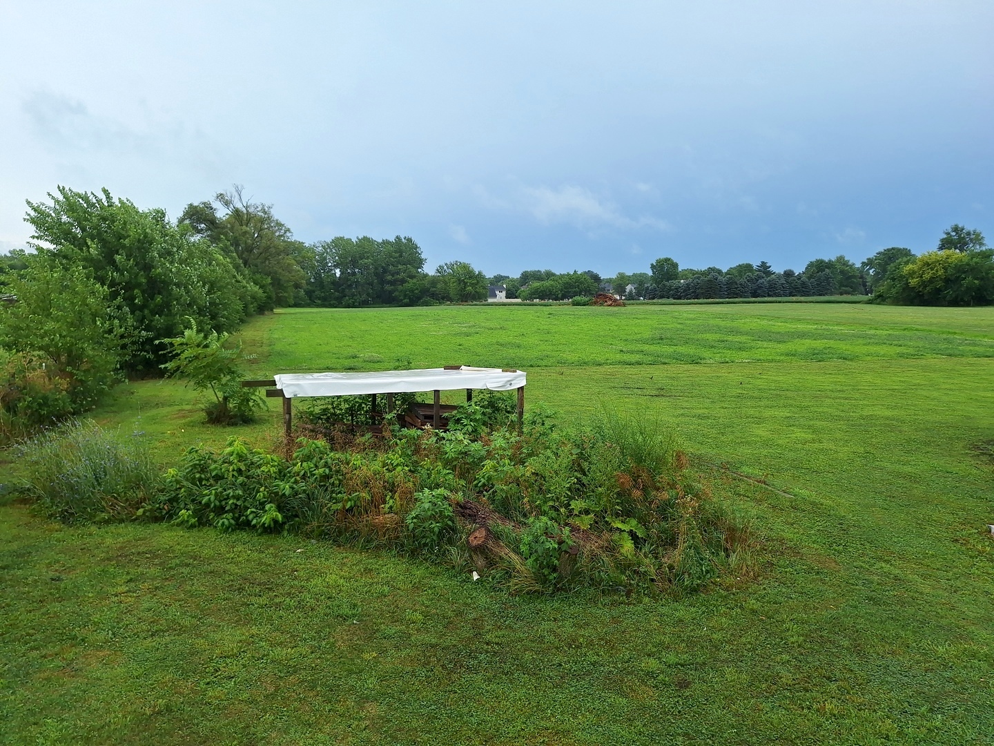 1505 North Otter Creek Road Streator, IL 61364 - Photo 27 of 40 a view of a green field with plants