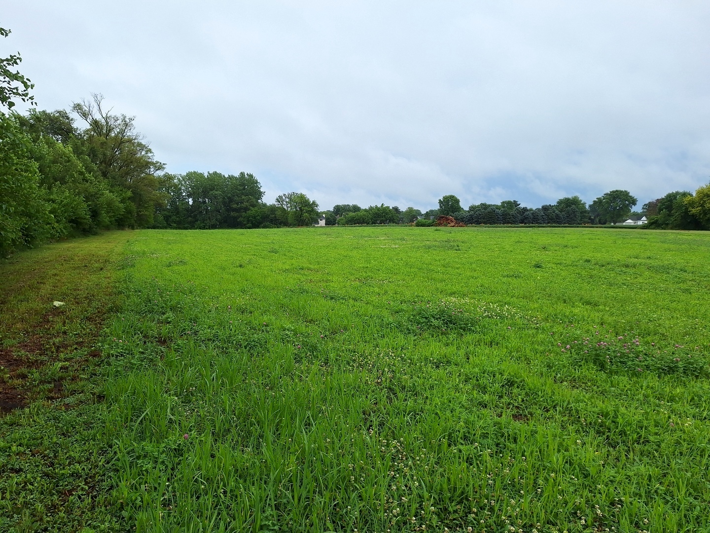 1505 North Otter Creek Road Streator, IL 61364 - Photo 28 of 40 a view of an outdoor space and a yard