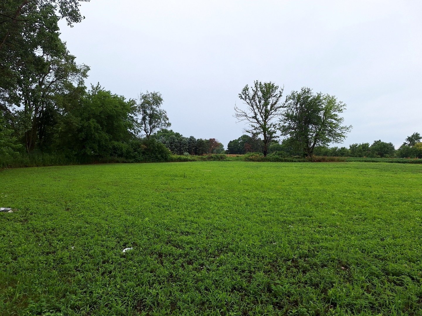 1505 North Otter Creek Road Streator, IL 61364 - Photo 29 of 40 a view of a trees with a big yard