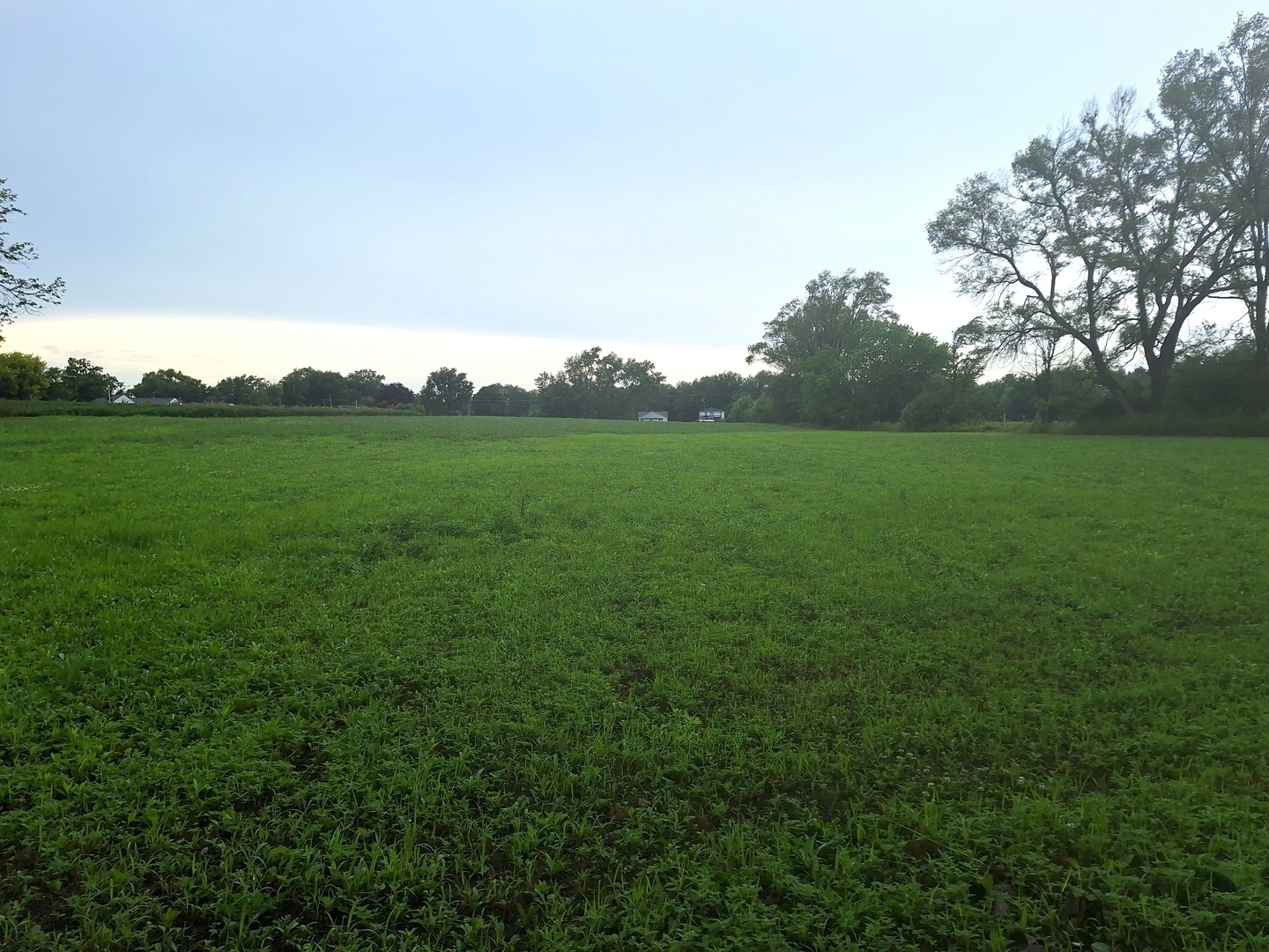 1505 North Otter Creek Road Streator, IL 61364 - Photo 30 of 40 a view of field with plants and trees