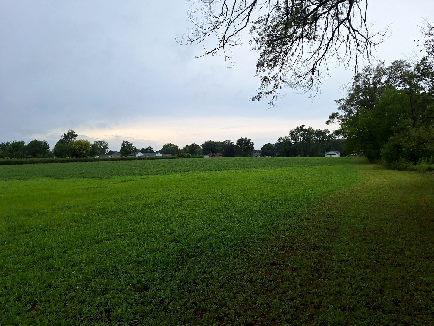 1505 North Otter Creek Road Streator, IL 61364 - Photo 31 of 40 a view of a big yard with plants and large trees