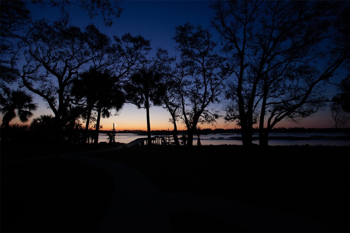 96153 Noeta Place Yulee, FL 32097 - Photo 18 of 24 a view of ocean with green space