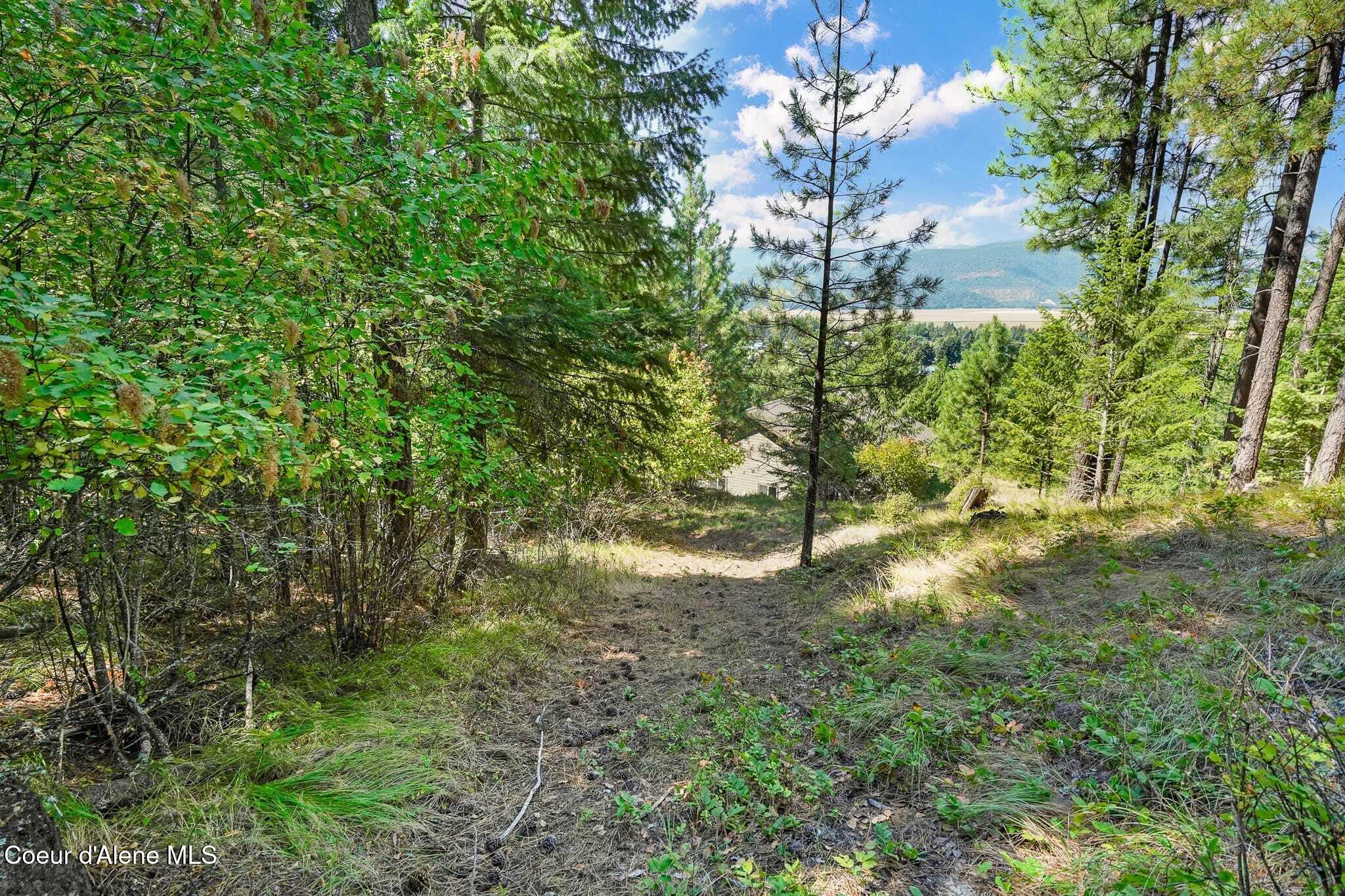 273 Paradise Valley Road Bonners Ferry, ID 83805 - Photo 26 of 37 Trails with a view