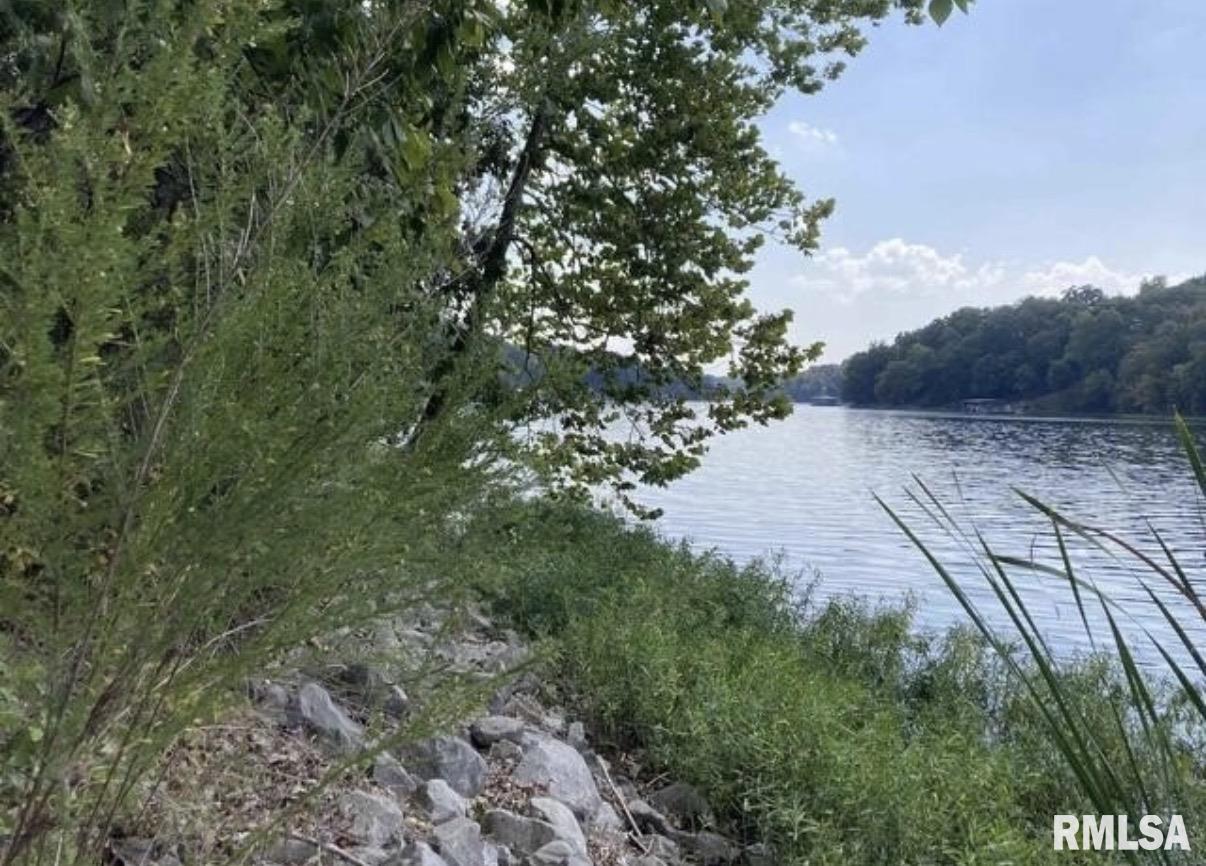 Lot 148-and Parrish Ridge Lane Goreville, IL 62939 - Photo 5 of 7