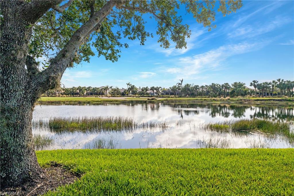 17818 Modena Road Miromar Lakes, FL 33913 - Photo 3 of 21 a view of a lake with houses in the back