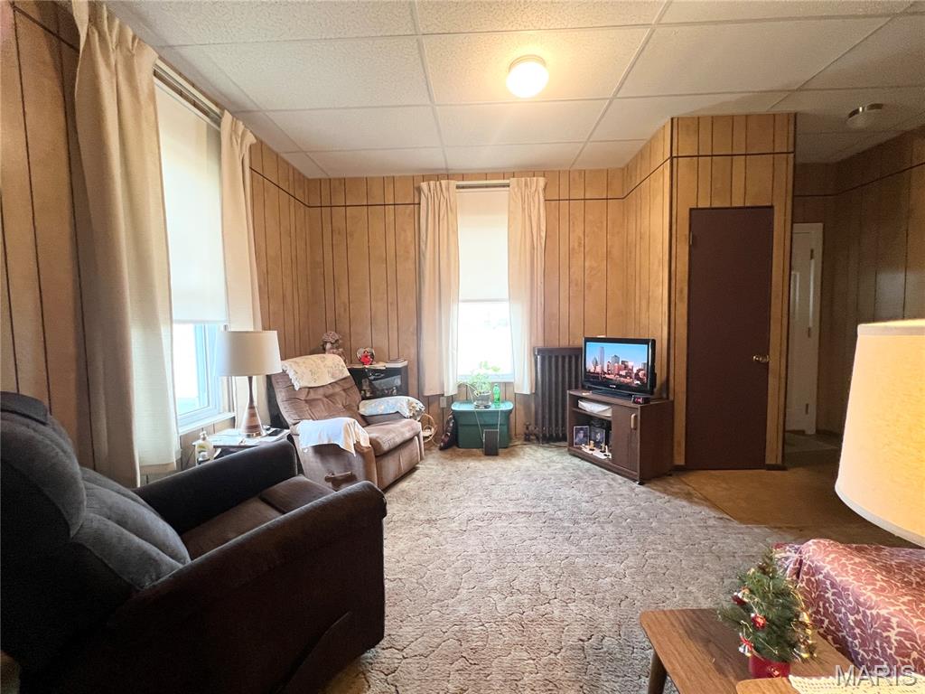 227 North Moore Street Waterloo, IL 62298 - Photo 8 of 28