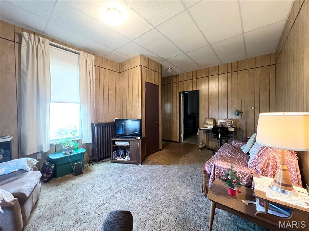 227 North Moore Street Waterloo, IL 62298 - Photo 10 of 28