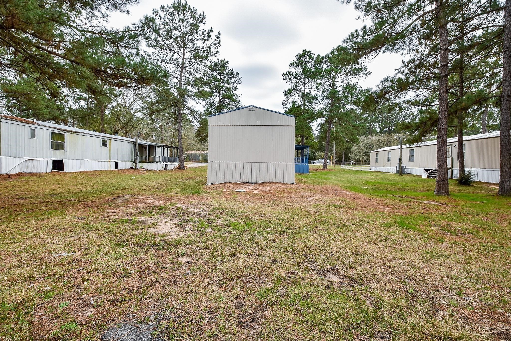 12842 Roy Harris Loop Conroe, TX 77306 - Photo 12 of 36 a view of a backyard with large trees