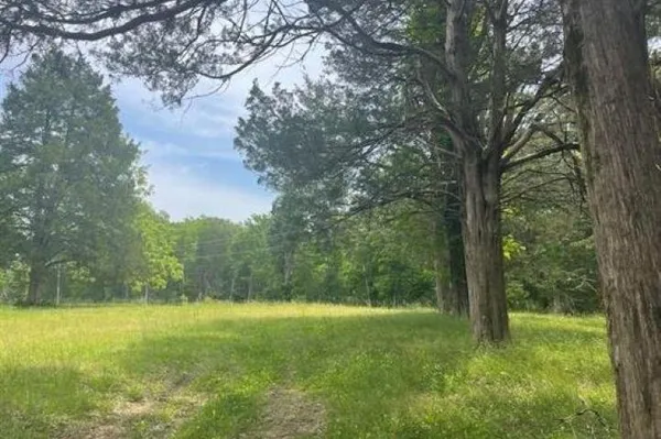 a view of yard with green space