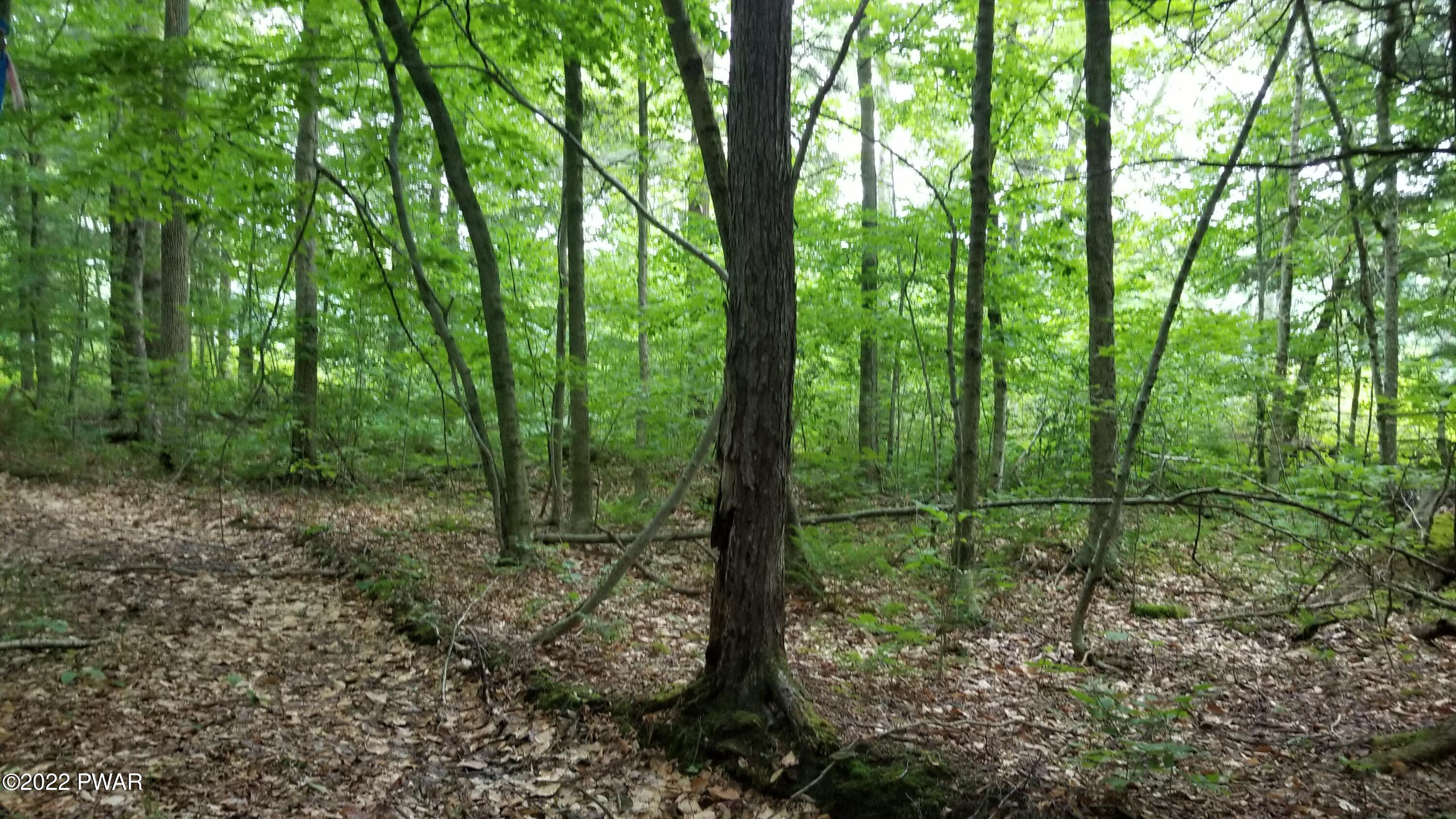 Lot 80 Stonegate Road Equinunk, PA 18417 - Photo 11 of 58