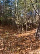 a view of empty room with trees