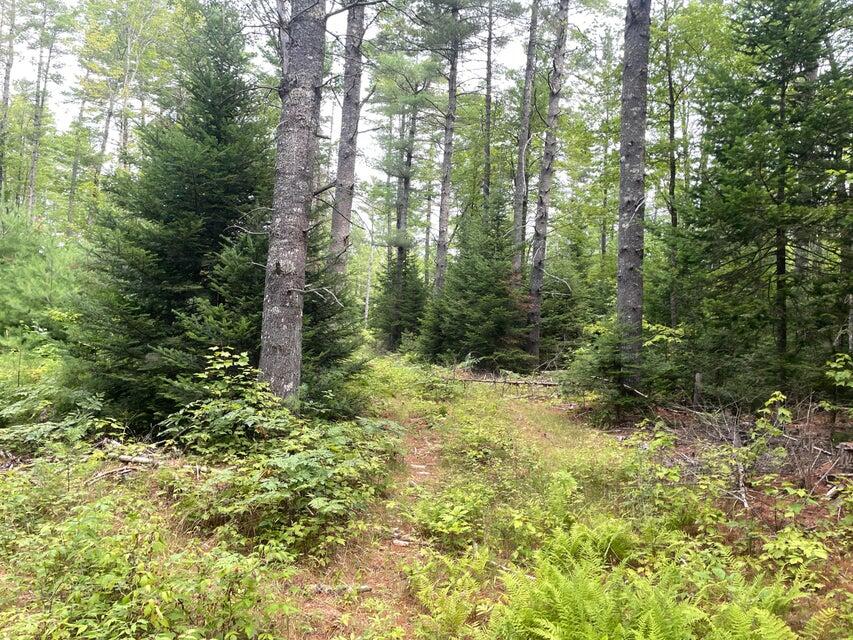 Map3-l14 N Road Harmony, ME 04942 - Photo 26 of 28 7