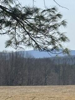 Map3-l14 N Road Harmony, ME 04942 - Photo 8 of 28 IMG_2771