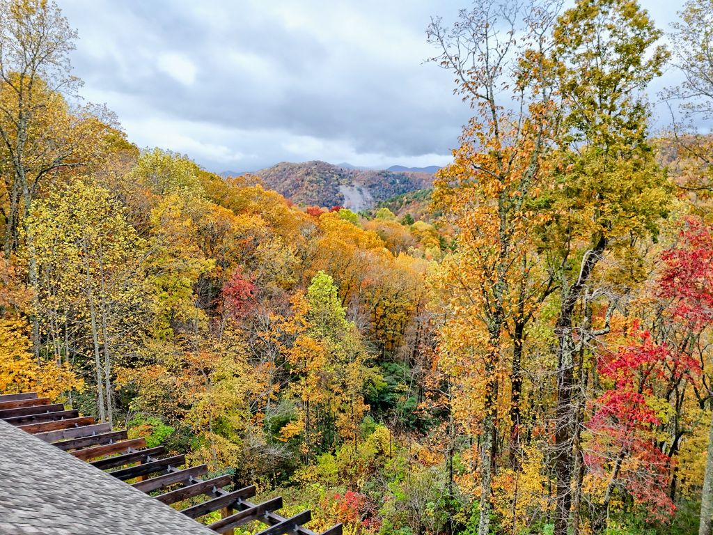 78 Natural Bridge Road Scaly Mountain, NC 28775 - Photo 46 of 51 Gallery Image 46