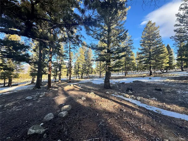 $232,000 | 30470 Harvard Circle, Buena Vista, CO 81211