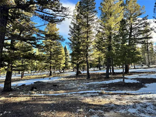 $232,000 | 30470 Harvard Circle, Buena Vista, CO 81211
