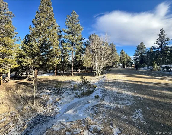$232,000 | 30470 Harvard Circle, Buena Vista, CO 81211