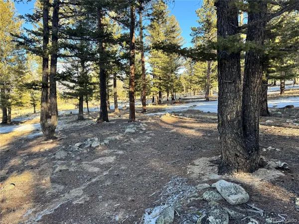 $232,000 | 30470 Harvard Circle, Buena Vista, CO 81211