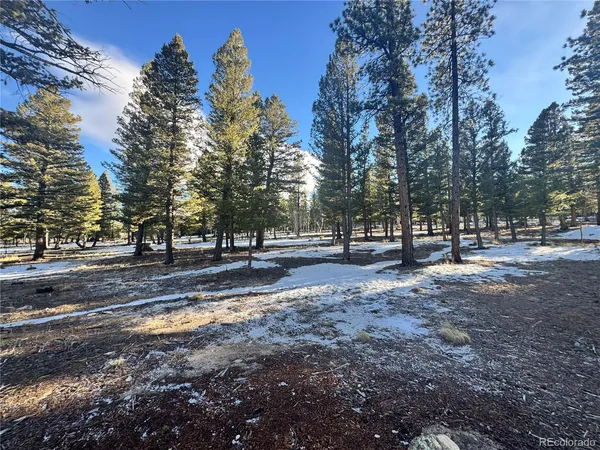 $232,000 | 30470 Harvard Circle, Buena Vista, CO 81211