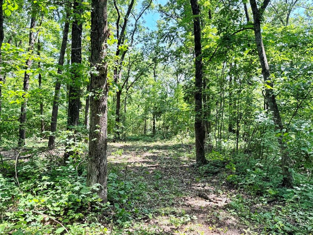Tbd1 East 1550 Road Jerico Springs, MO 64756 - Photo 18 of 23