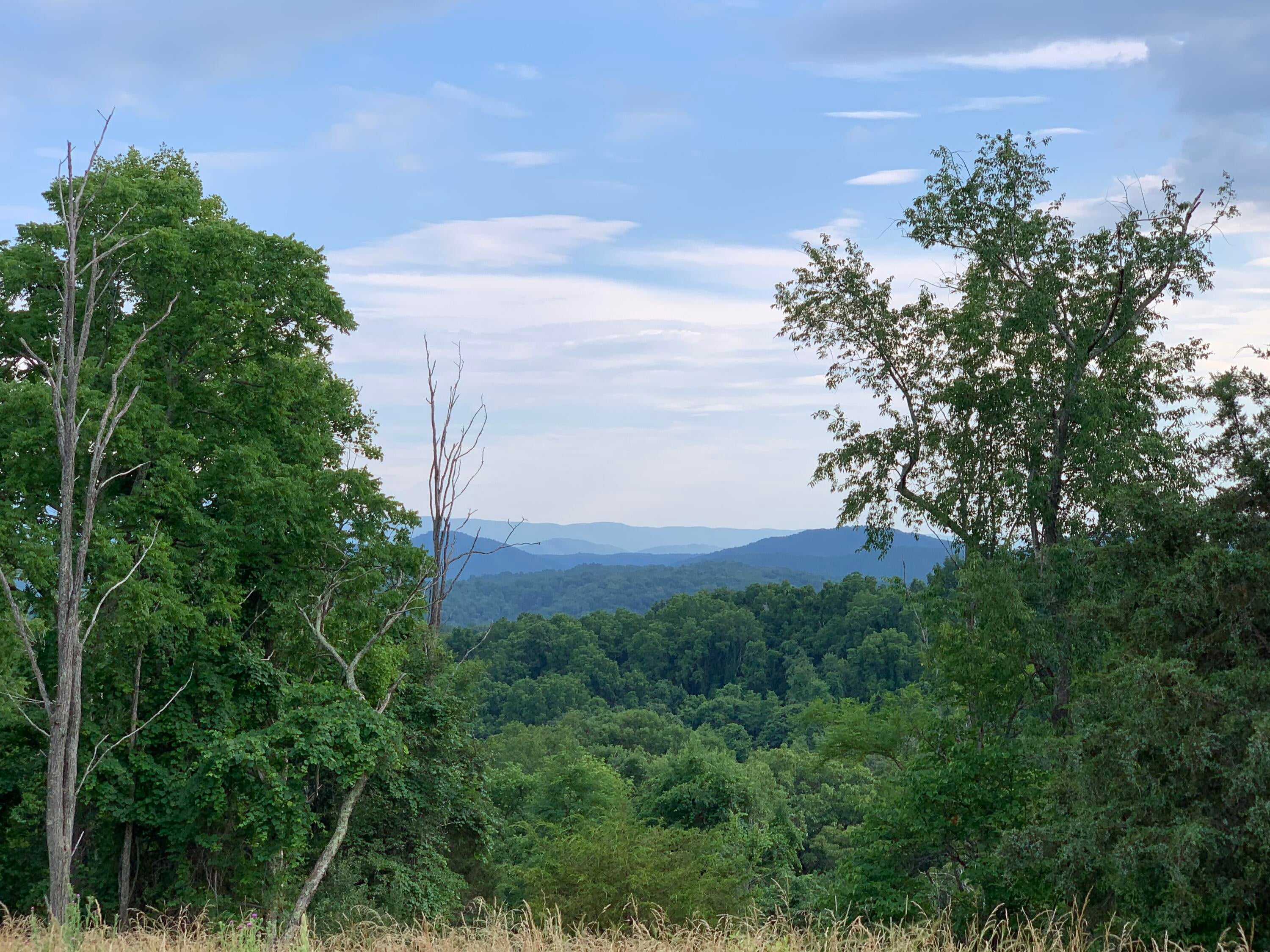 Mountain View Union Union, WV 24983 - Photo 14 of 20 Gallery Image 14