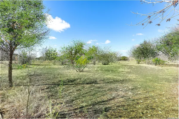 a view of a field with an trees