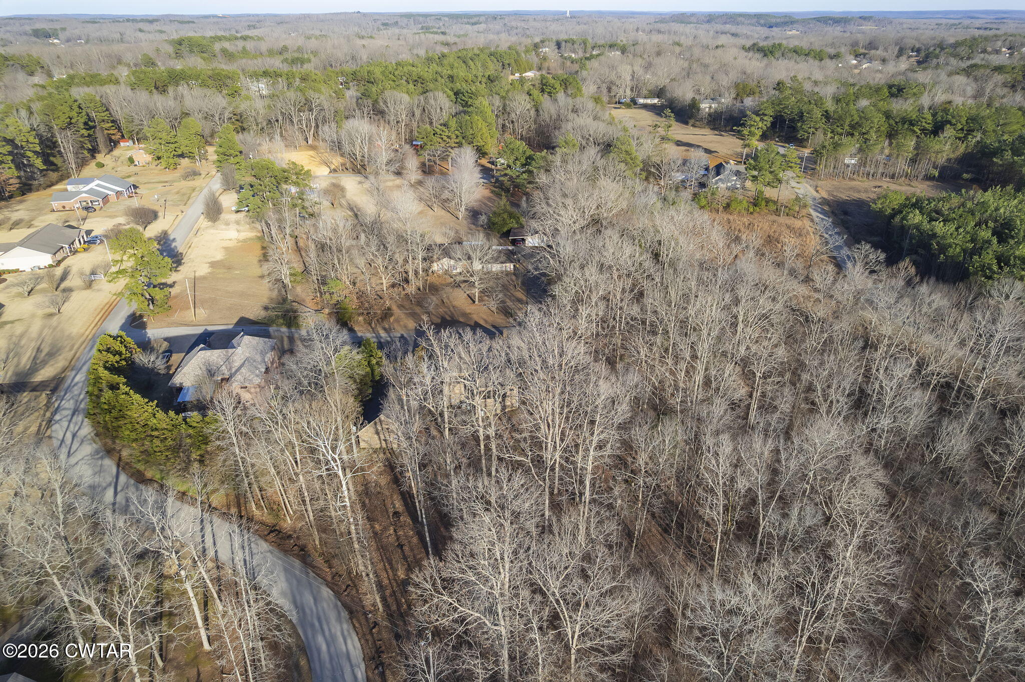 40 Pine Cove Parsons, TN 38363 - Photo 46 of 56 a view of a forest with trees in the background