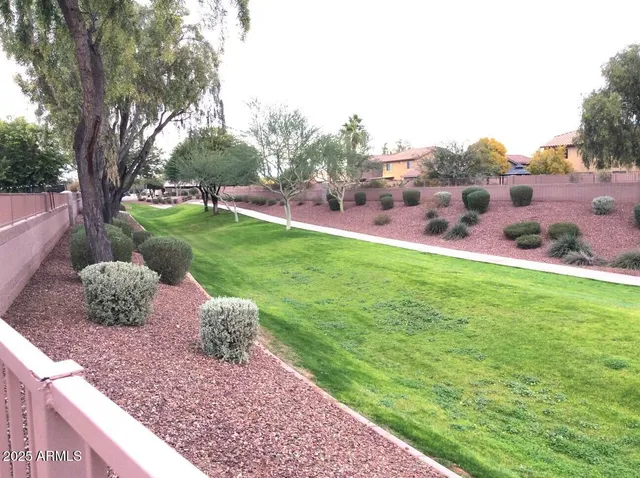 a view of a park with large trees