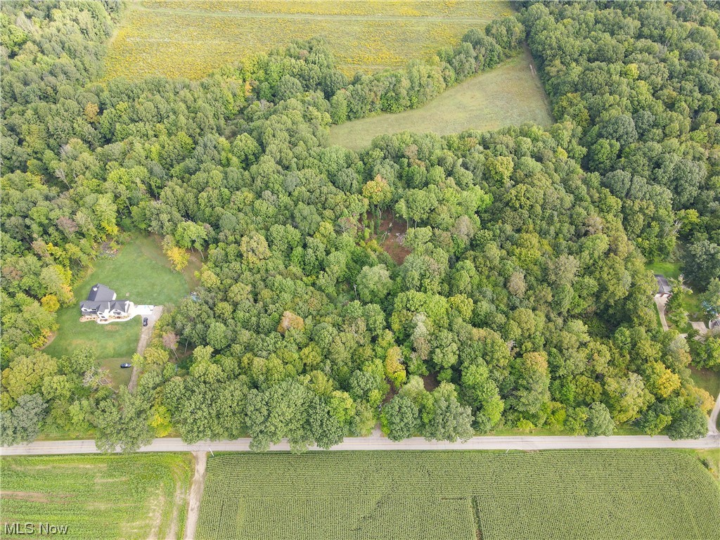 Alexander Road Atwater, OH 44201 - Photo 21 of 21 Birds eye view of property