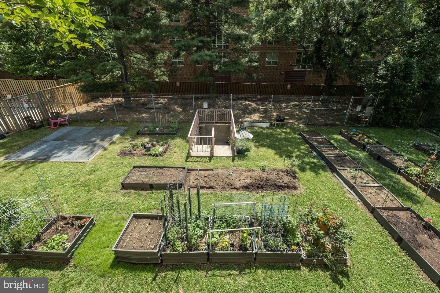 4141 North Henderson Road, Unit 611 Arlington, VA 22203 - Photo 21 of 30 a view of a garden with chairs