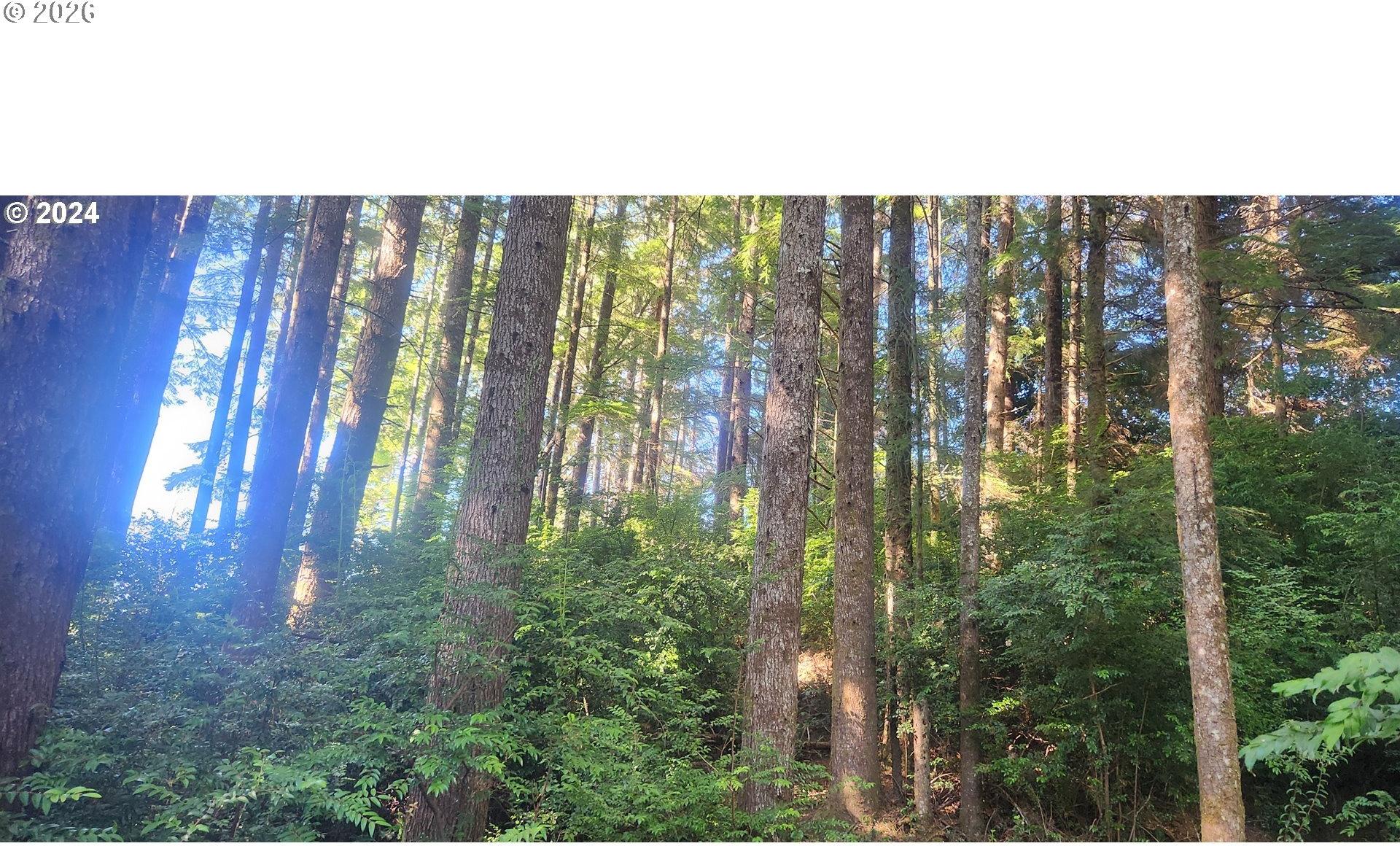 800 Masters Court Reedsport, OR 97467 - Photo 10 of 13 Gallery Image 10