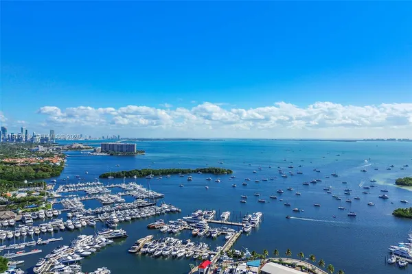 a plant in a garden with plants