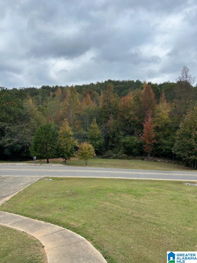 3912 Valley Ford Road Adger, AL 35006 - Photo 45 of 47
