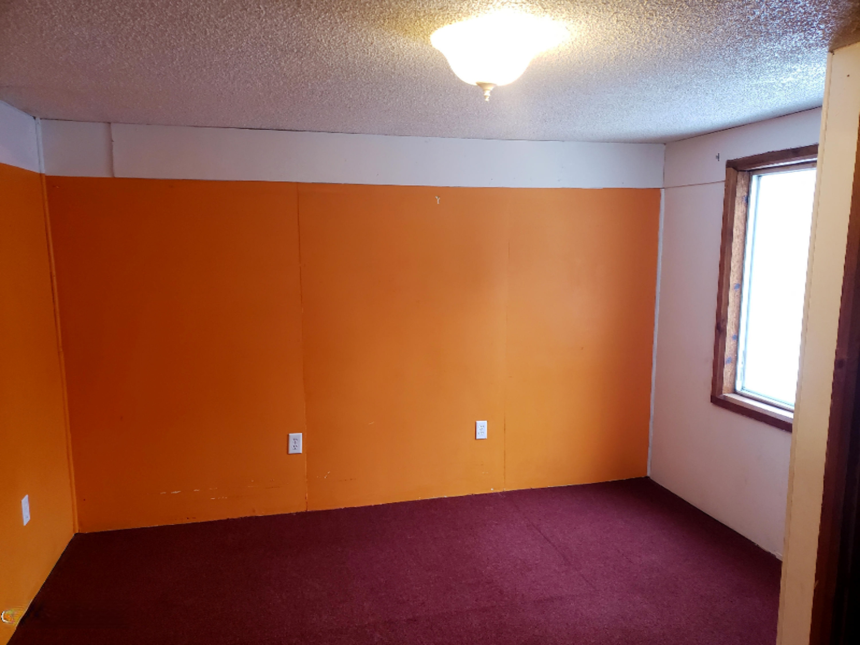 5134 East Loop Road Hesperia, MI 49421 - Photo 12 of 28 20201217_125151