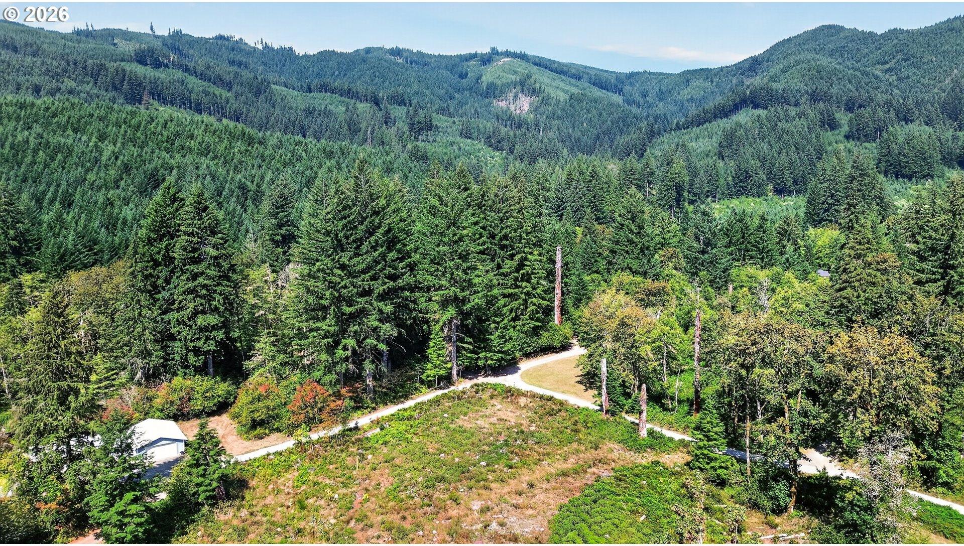 0 Dog Creek Road Cougar, WA 98616 - Photo 10 of 17 Gallery Image 10